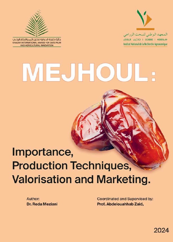 Mejhoul: Importance, Production Techniques, Valorisation and Marketing